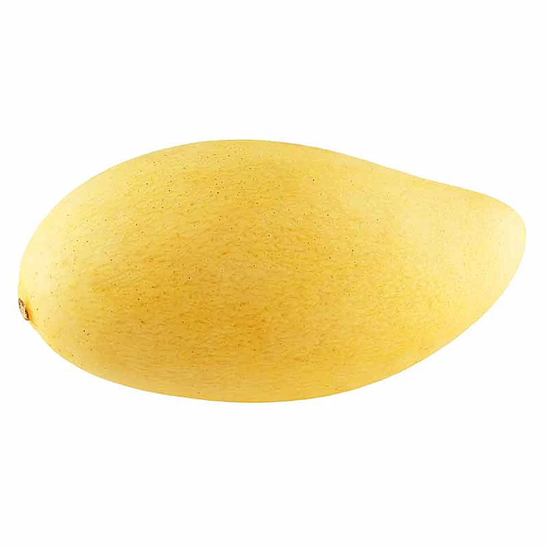Honey Golden Mango China 12S