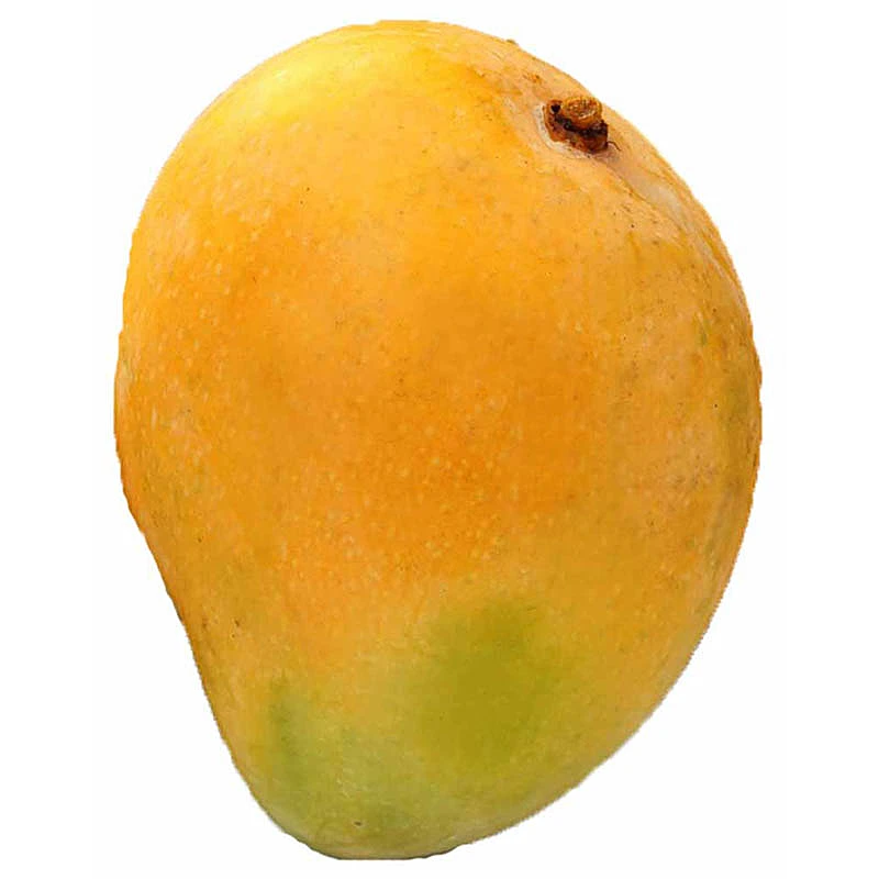 CHAUNSA MANGO PAKISTAN