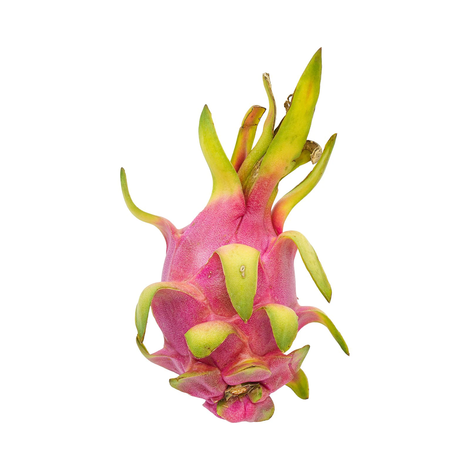 Dragonfruit Vietnam, 1s