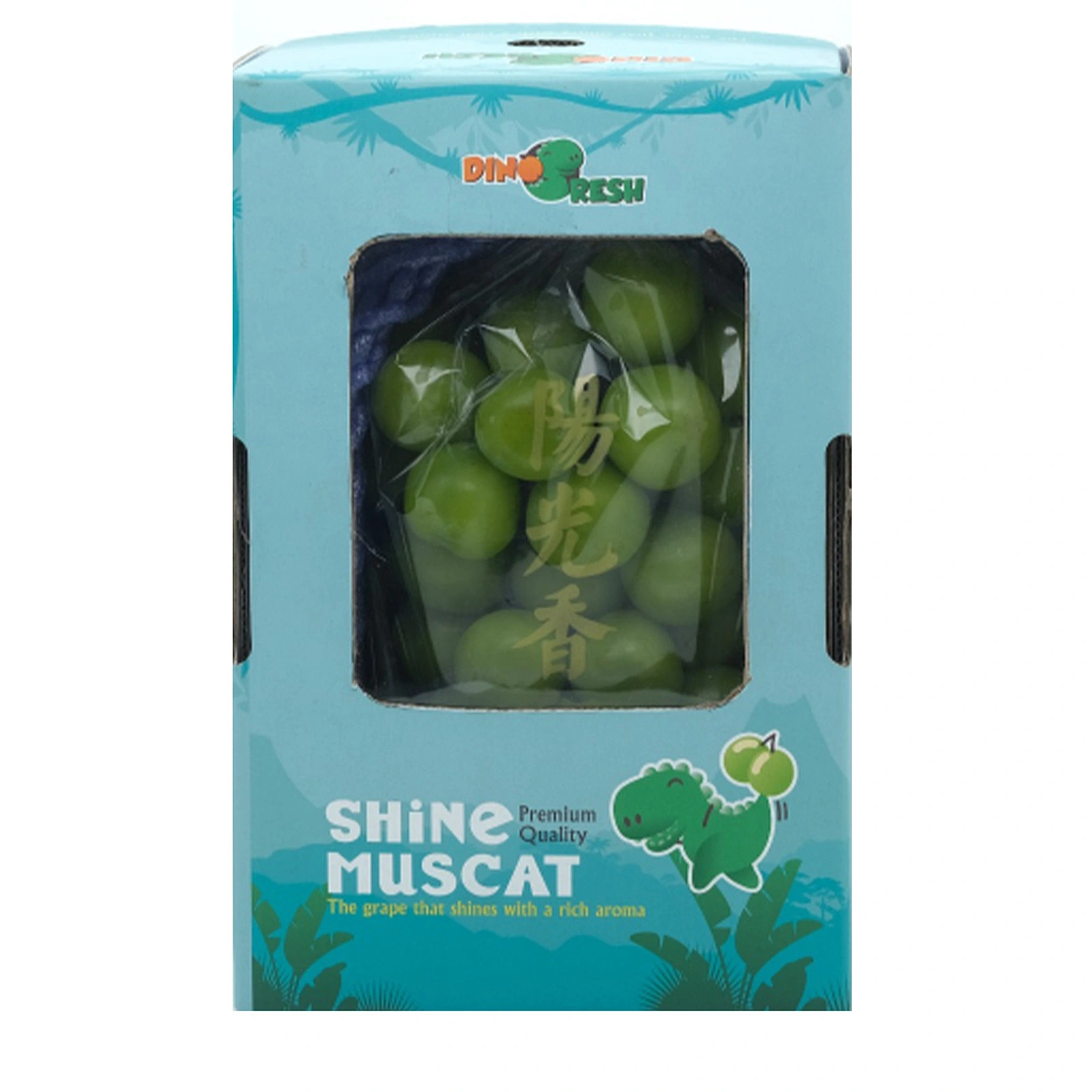 Premium Shine Muscat China 800g